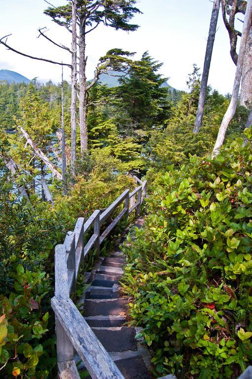 Wild Pacific Guest Suites Ucluelet Εξωτερικό φωτογραφία